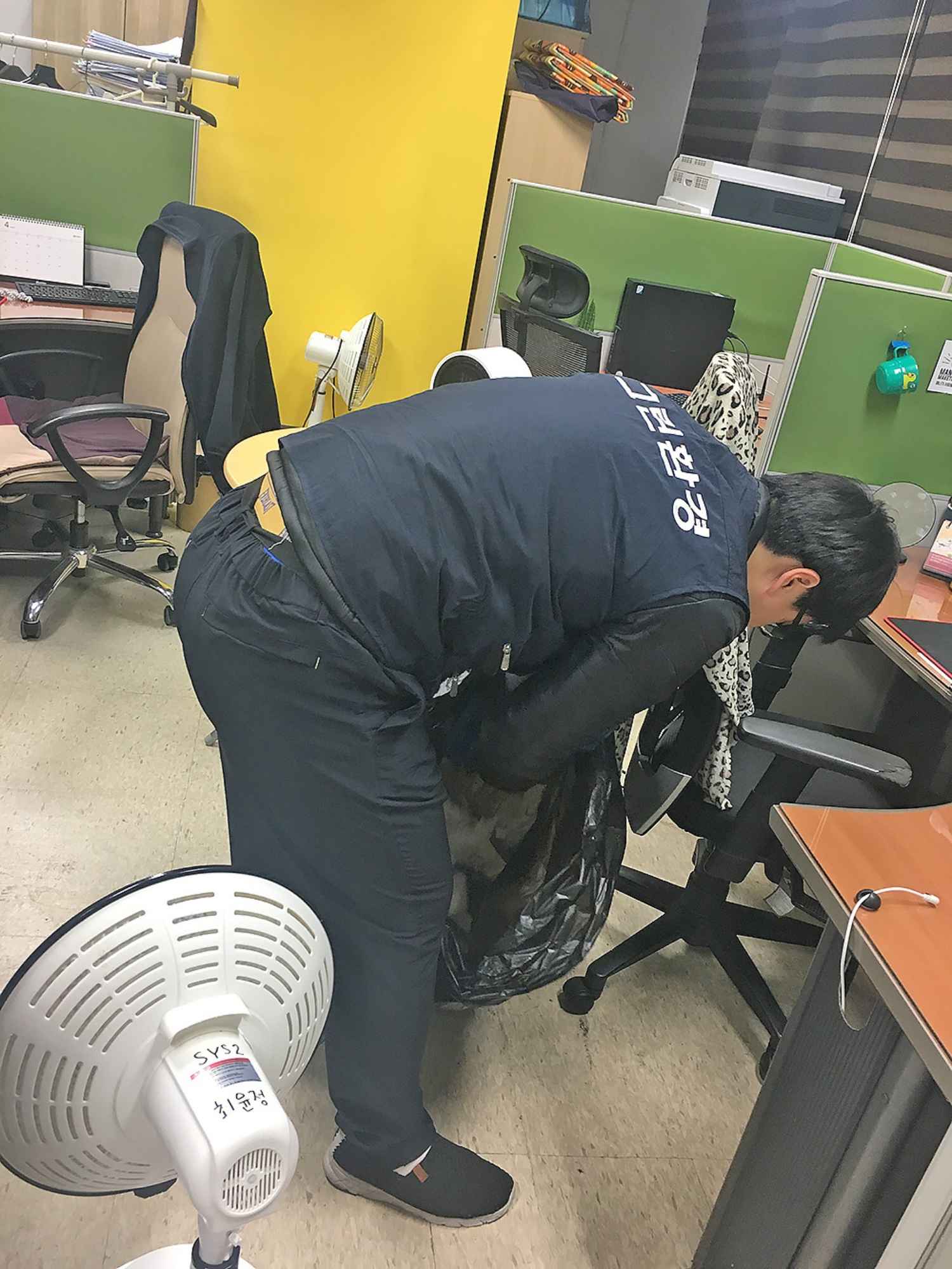카펫 청소 모습