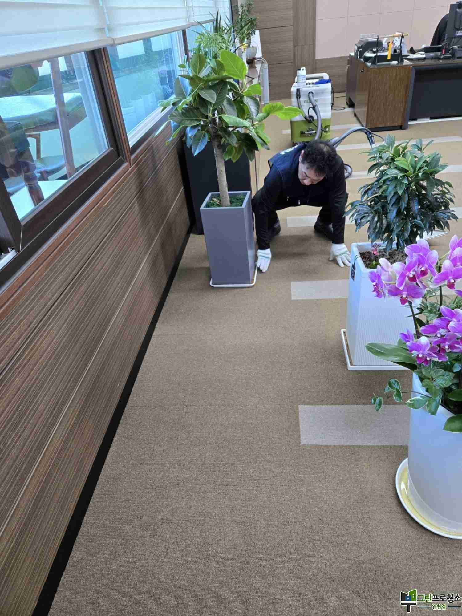 인천 바닥 카페트 얼룩제거 청소 3