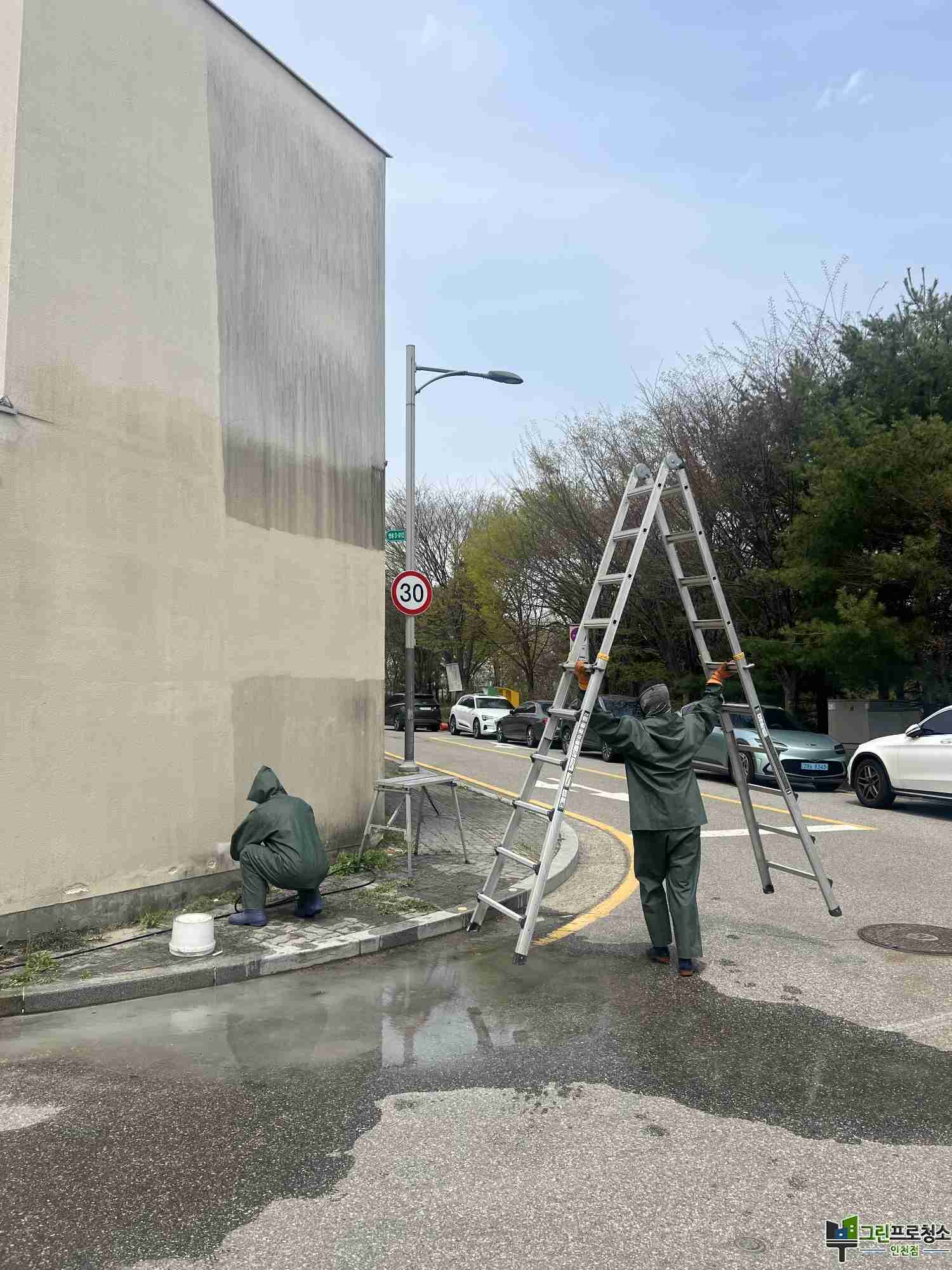 벽면 곰팡이 제거 전후