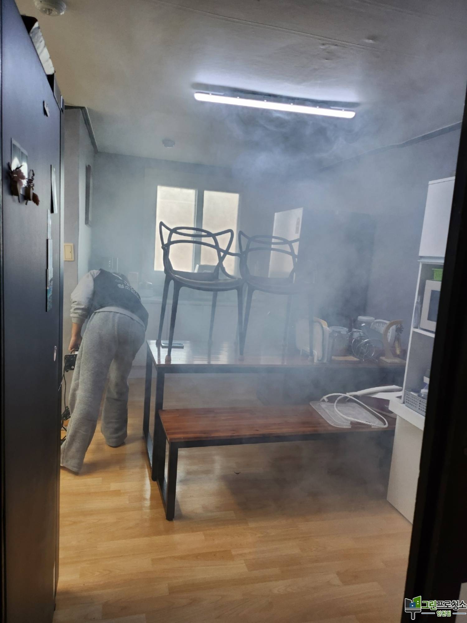  대표사진