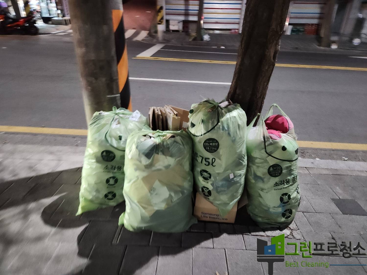 대표사진