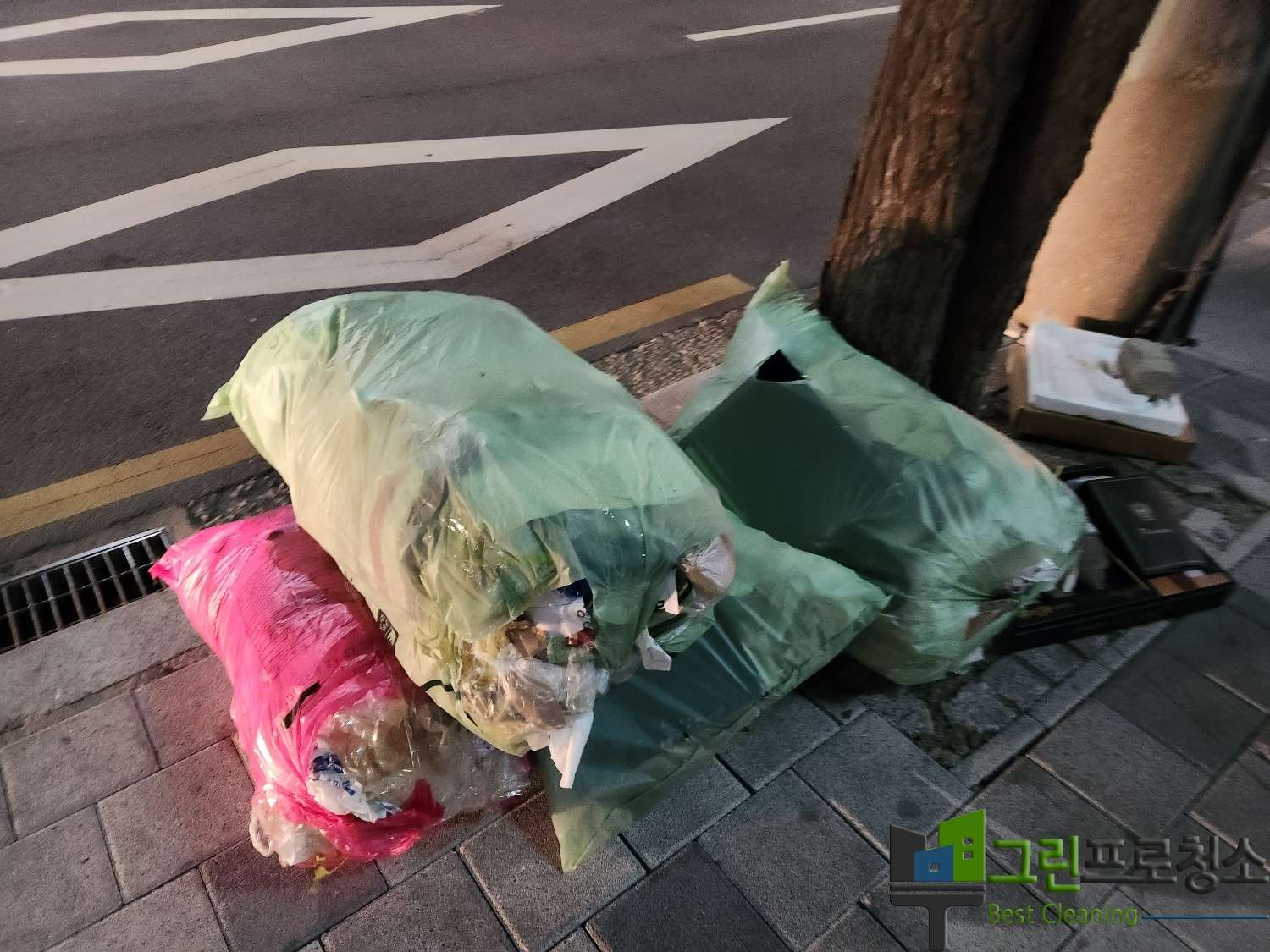  대표사진