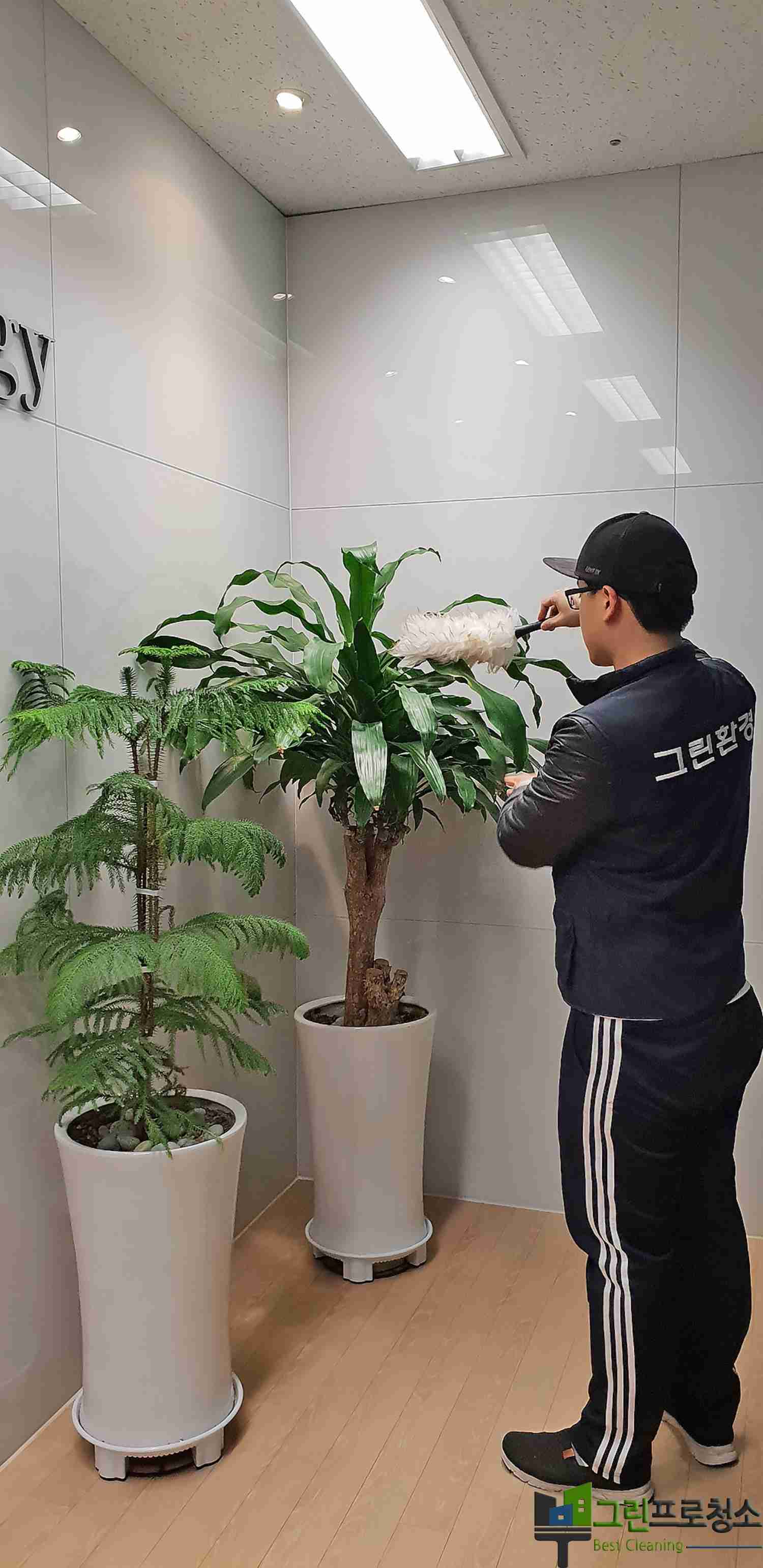  대표사진