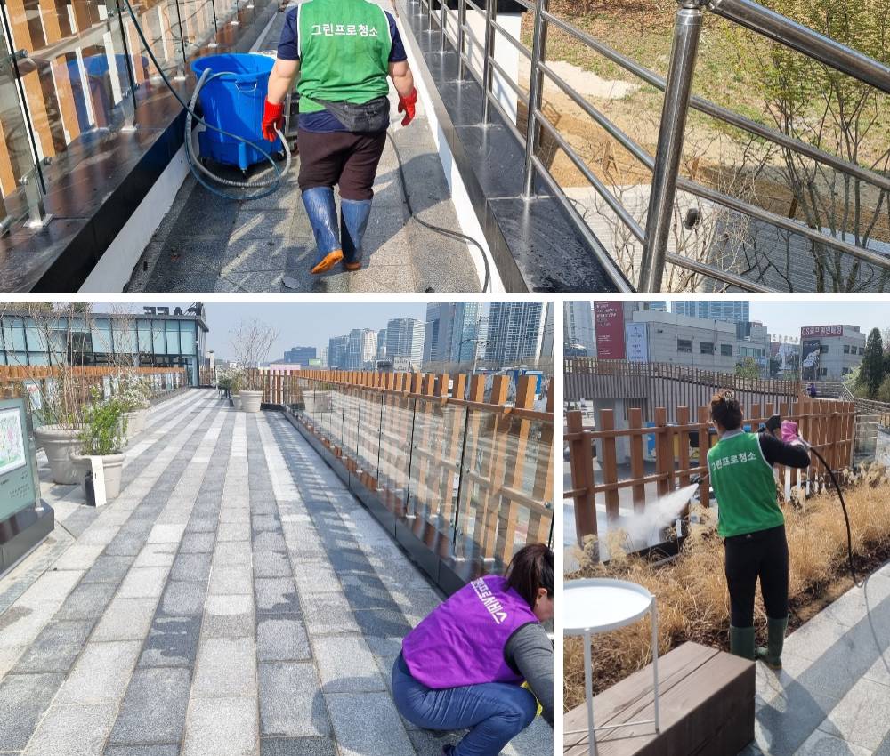청라 야외 공원 백화제거 - 시각적 즐거움과 깨끗한 환경을 선사합니다 관한 작업사진입니다.